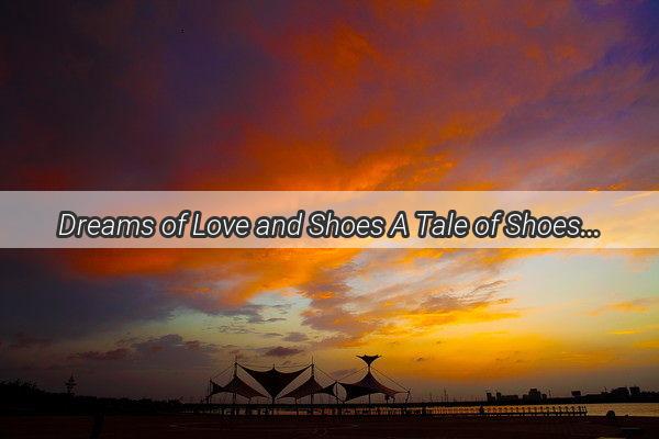 Dreams of Love and Shoes A Tale of Shoes as a Symbol of Devotion and Connection